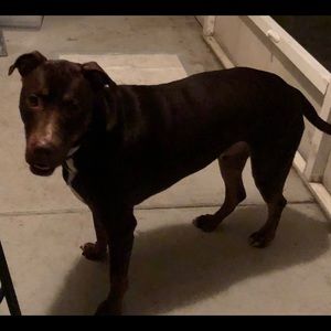 Meet your Posher, Christine